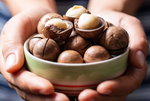 Macadamia Nuts in a bowl being held by a pair of hands